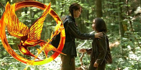 hunger games wiki|the hunger games explained.